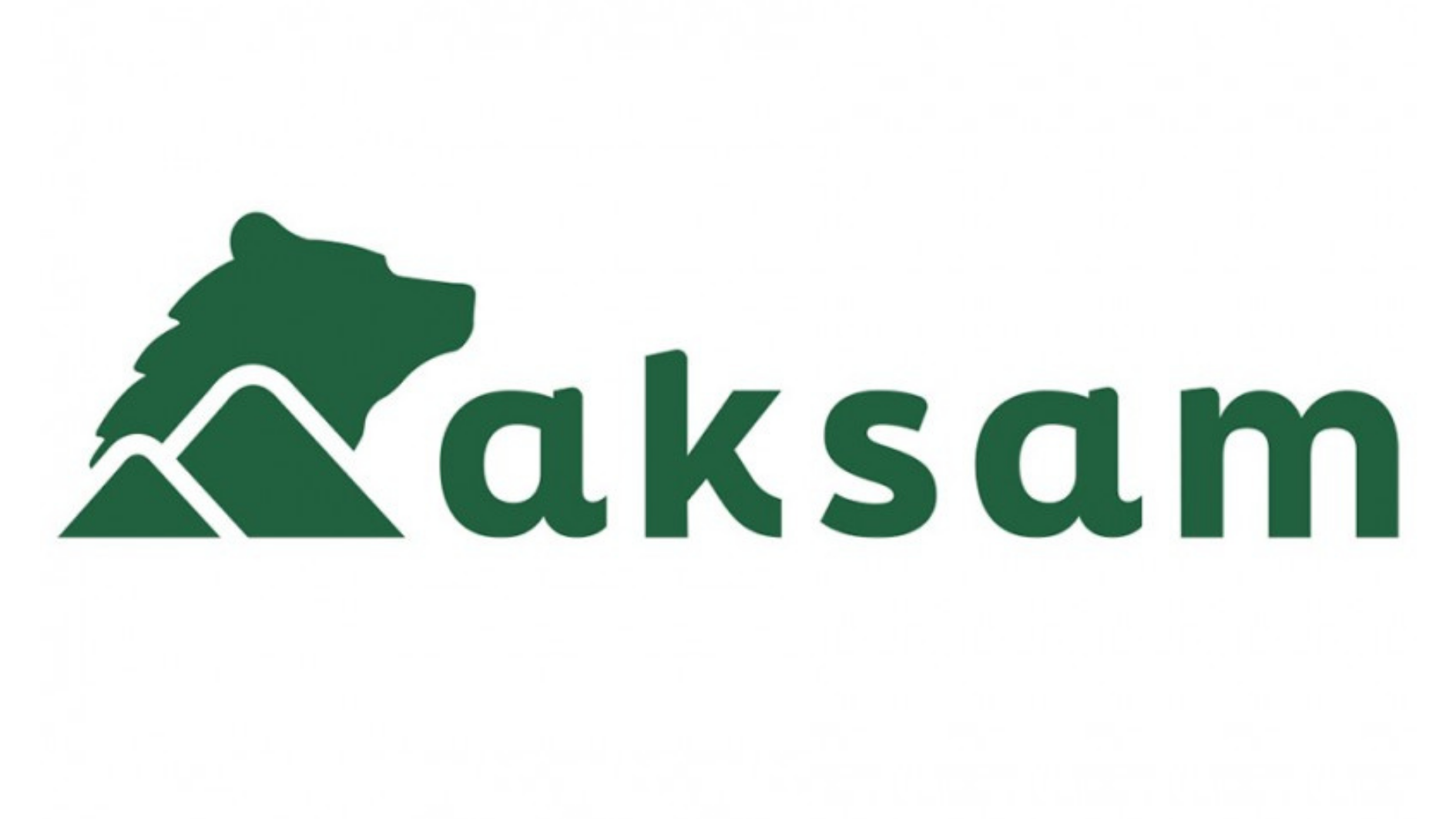 ASI network and partner organization 11